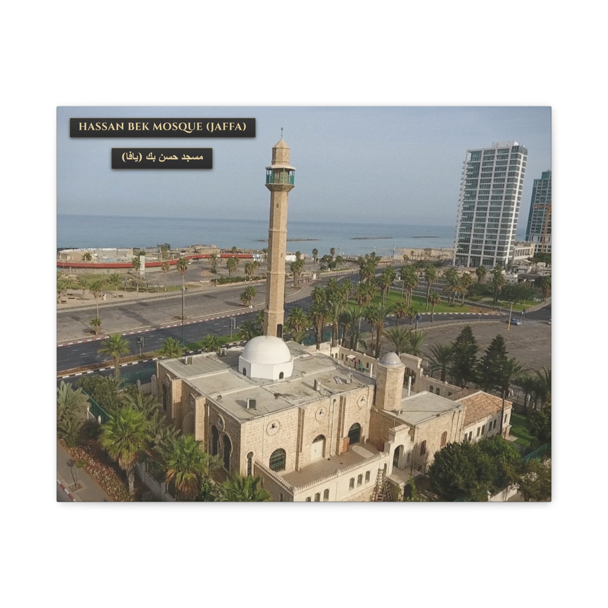 Hassan Bek Mosque (Jaffa)  [Canvas]