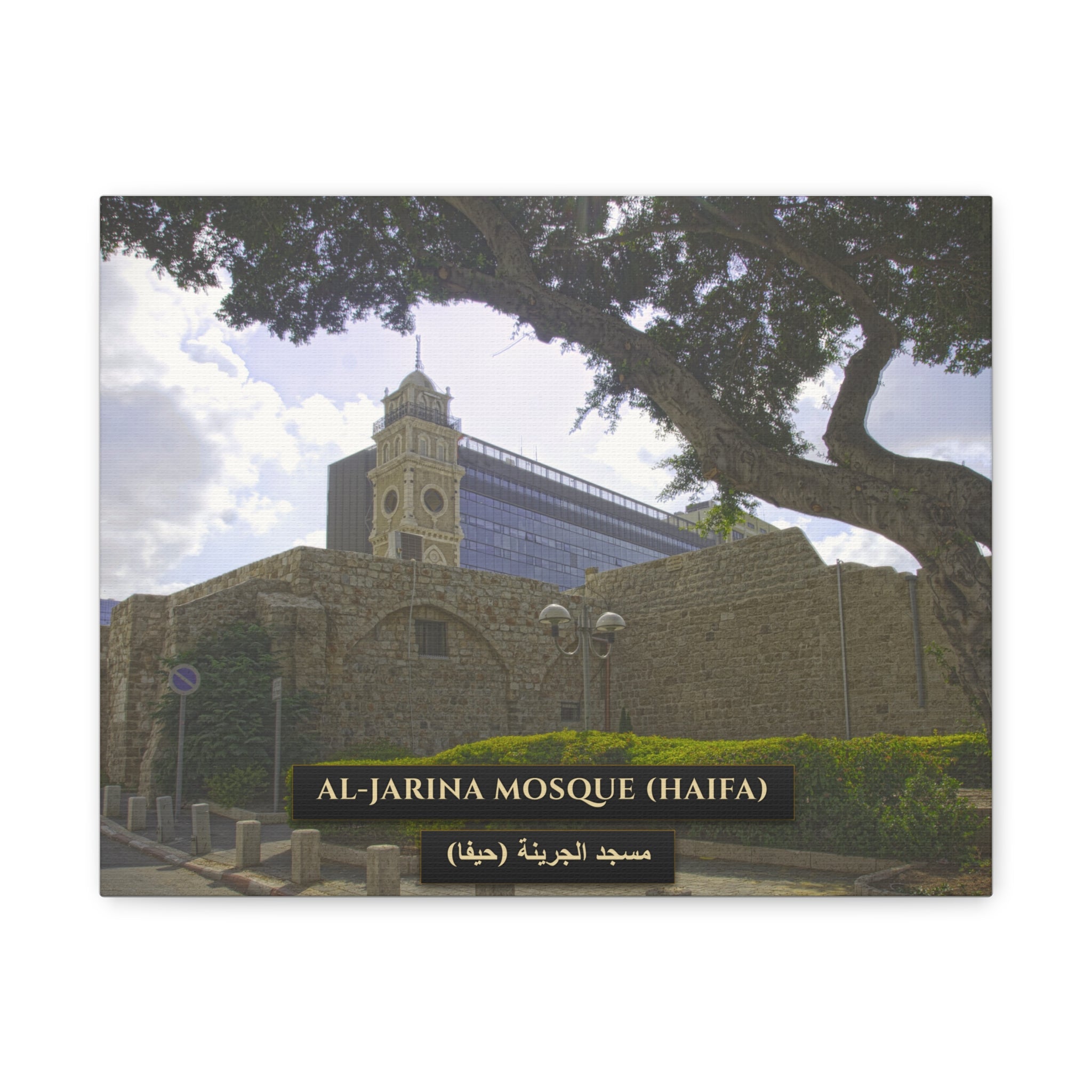 Al Jarina Mosque (Haifa) [Canvas]