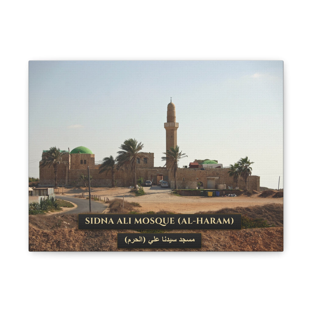 Sidna Ali Mosque (Al-Haram, Jaffa) [Canvas]