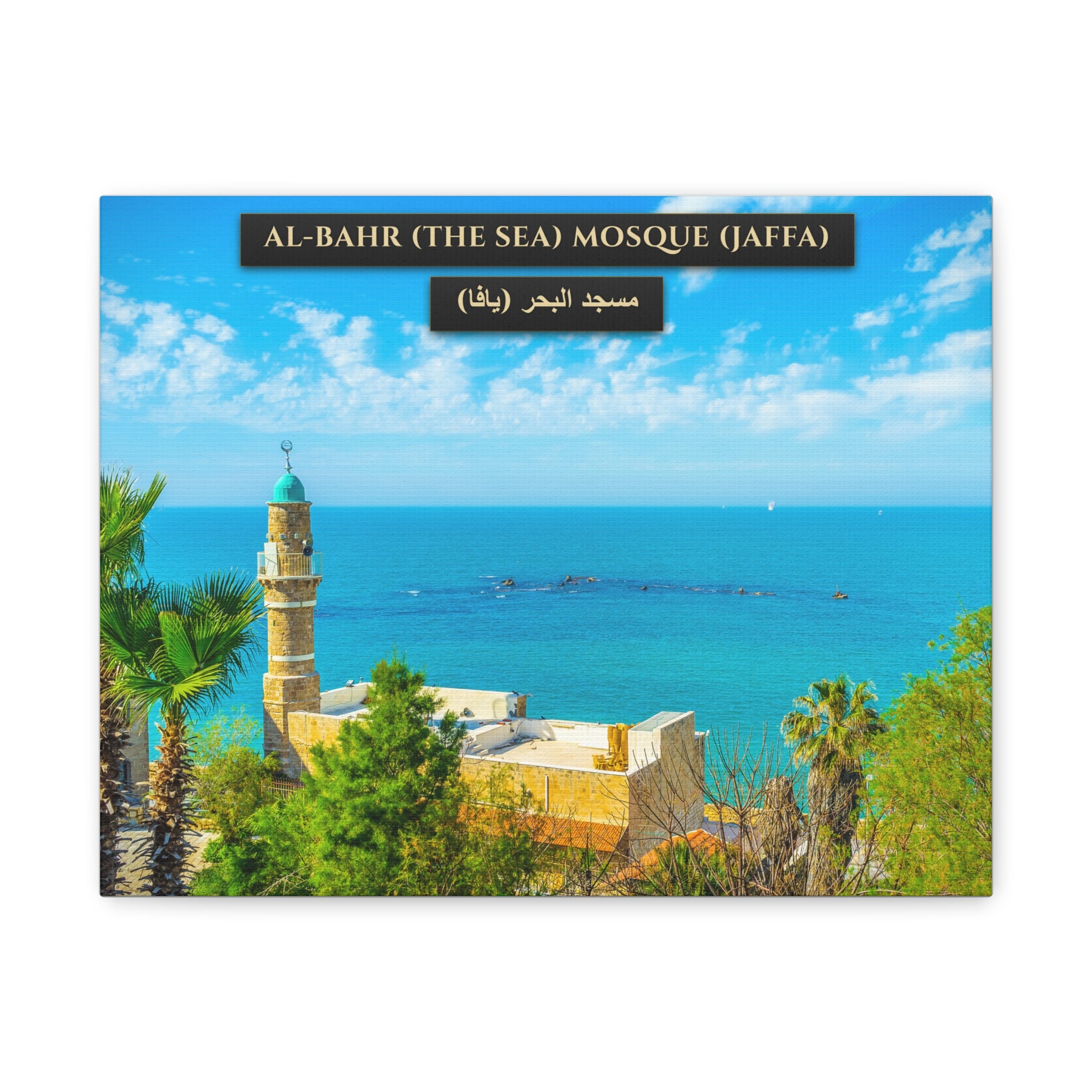 Al-Bahr Mosque / Sea Mosque (Jaffa) [Canvas]