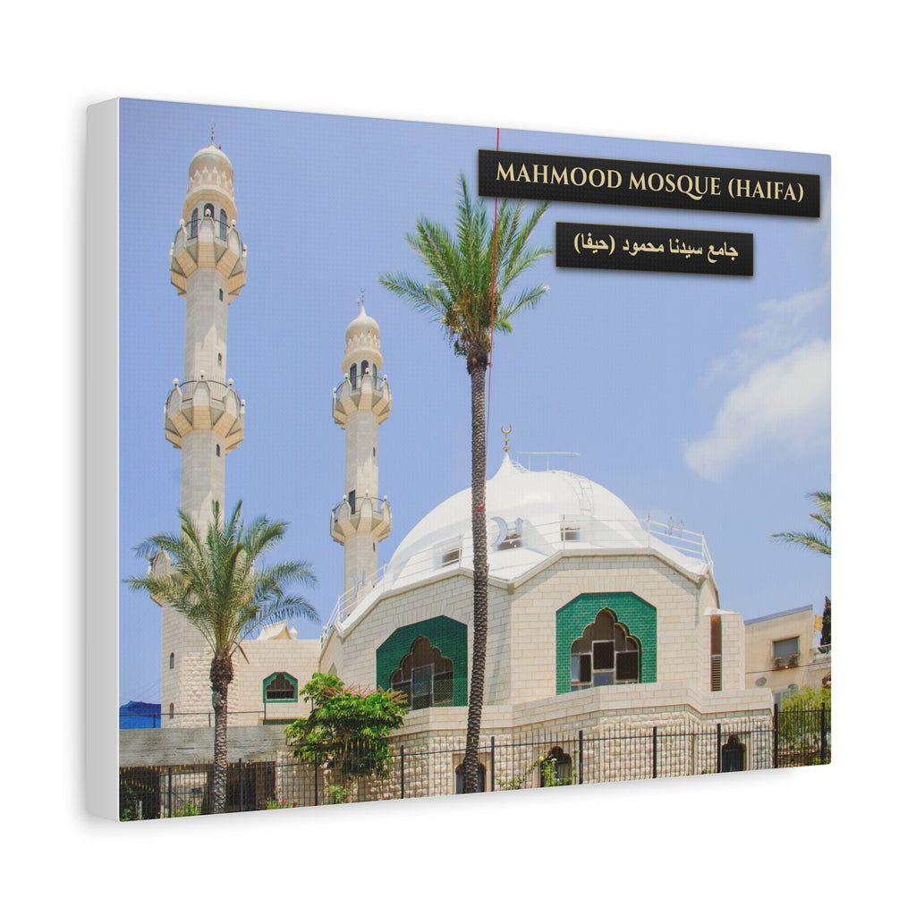 Mahmood Mosque (Haifa) [Canvas]