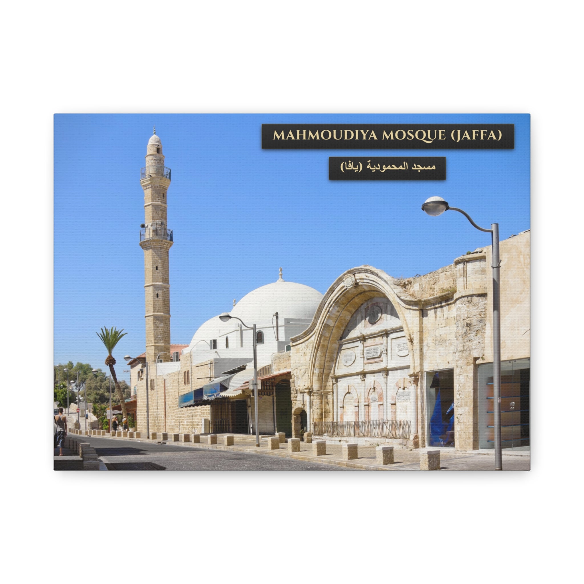 Mahmoudiya Mosque (Jaffa) [Canvas]
