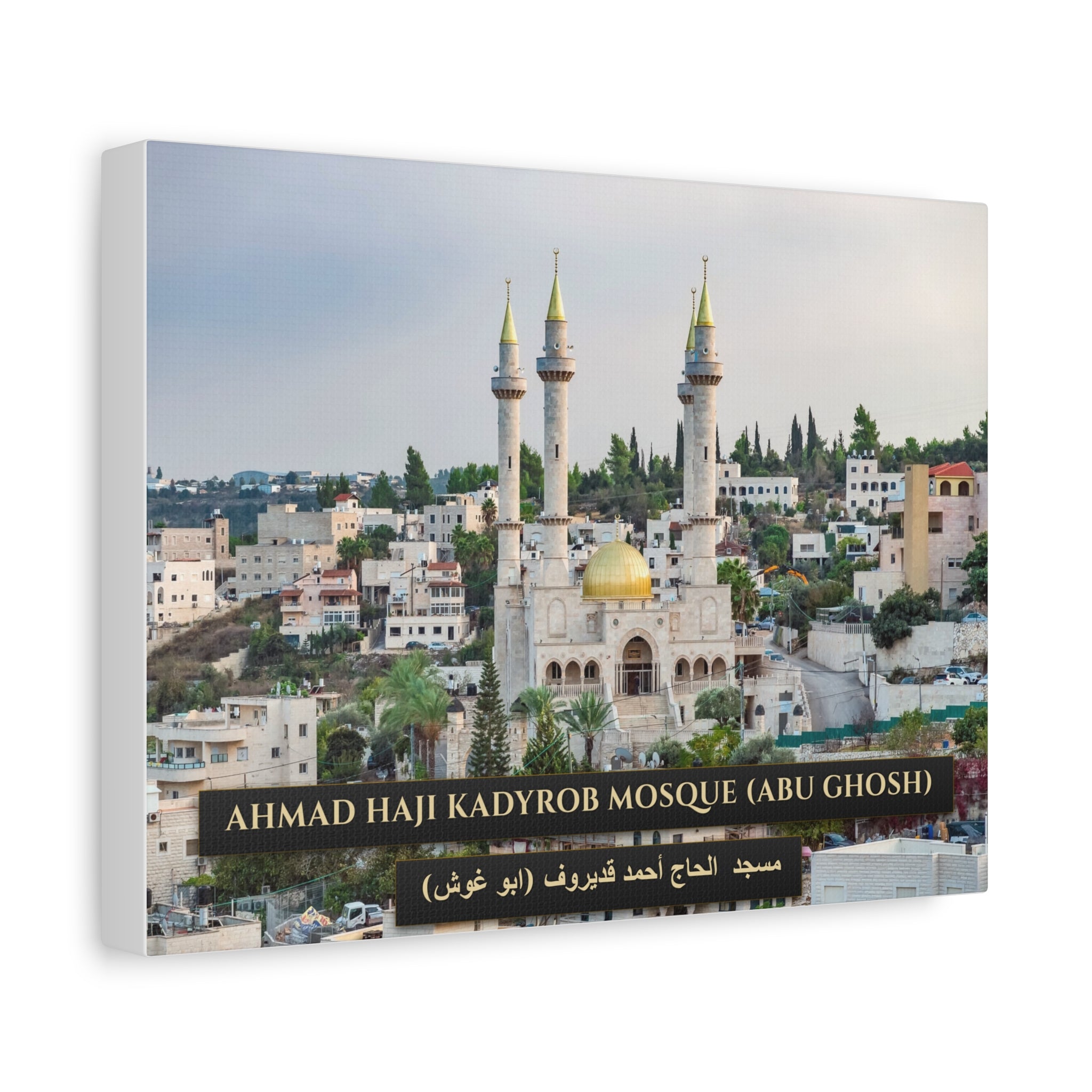 Ahmad Haji Kadyrob Mosque [canvas]