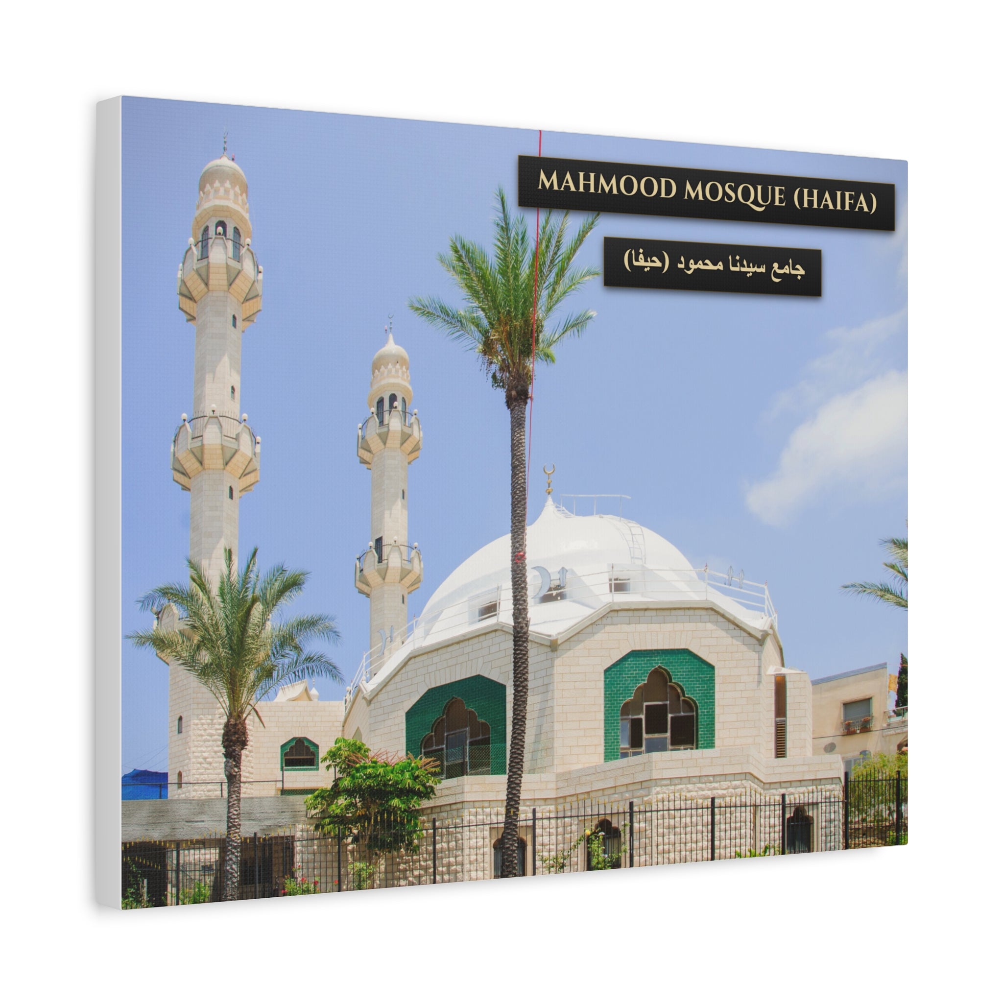Mahmood Mosque (Haifa) [Canvas]