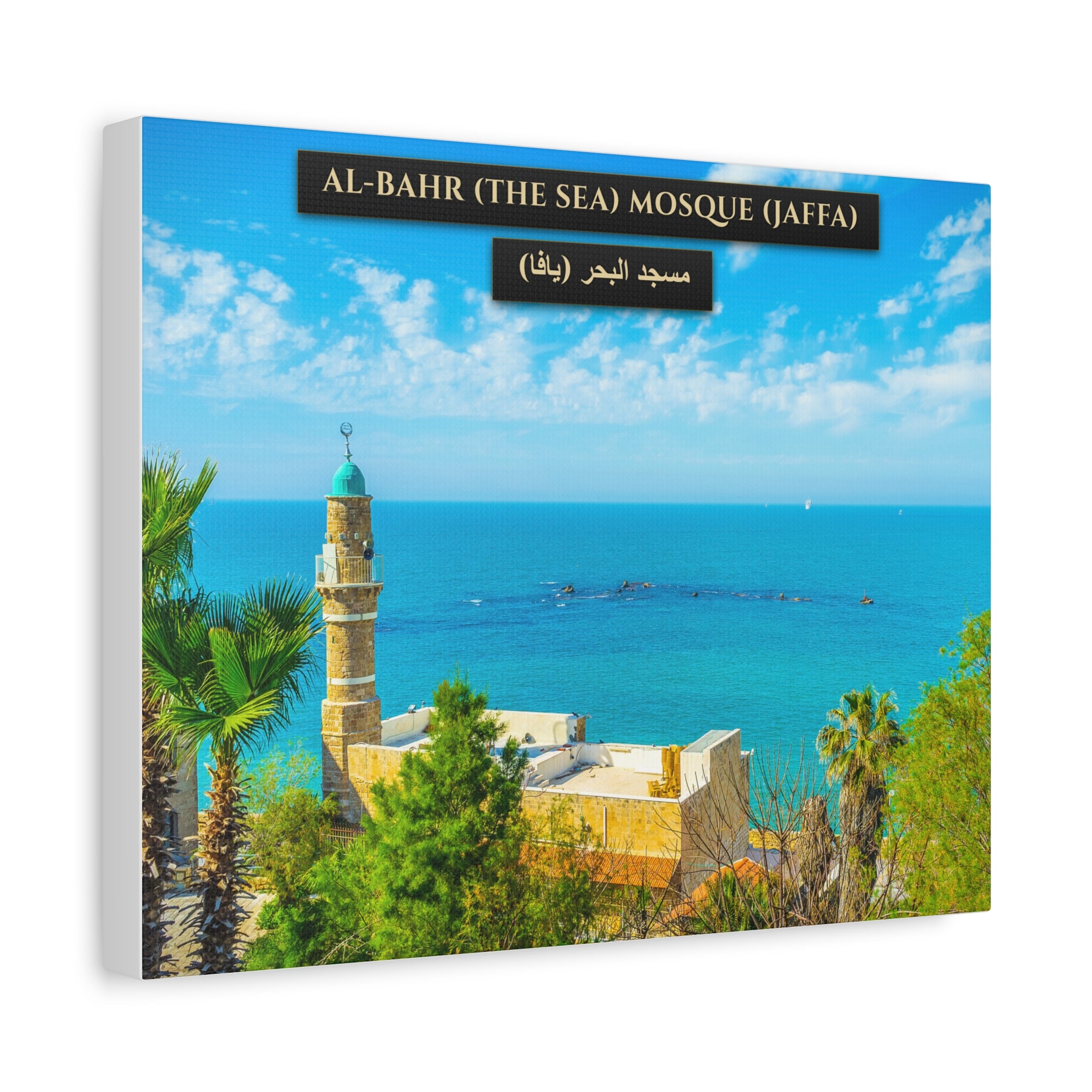 Al-Bahr Mosque / Sea Mosque (Jaffa) [Canvas]