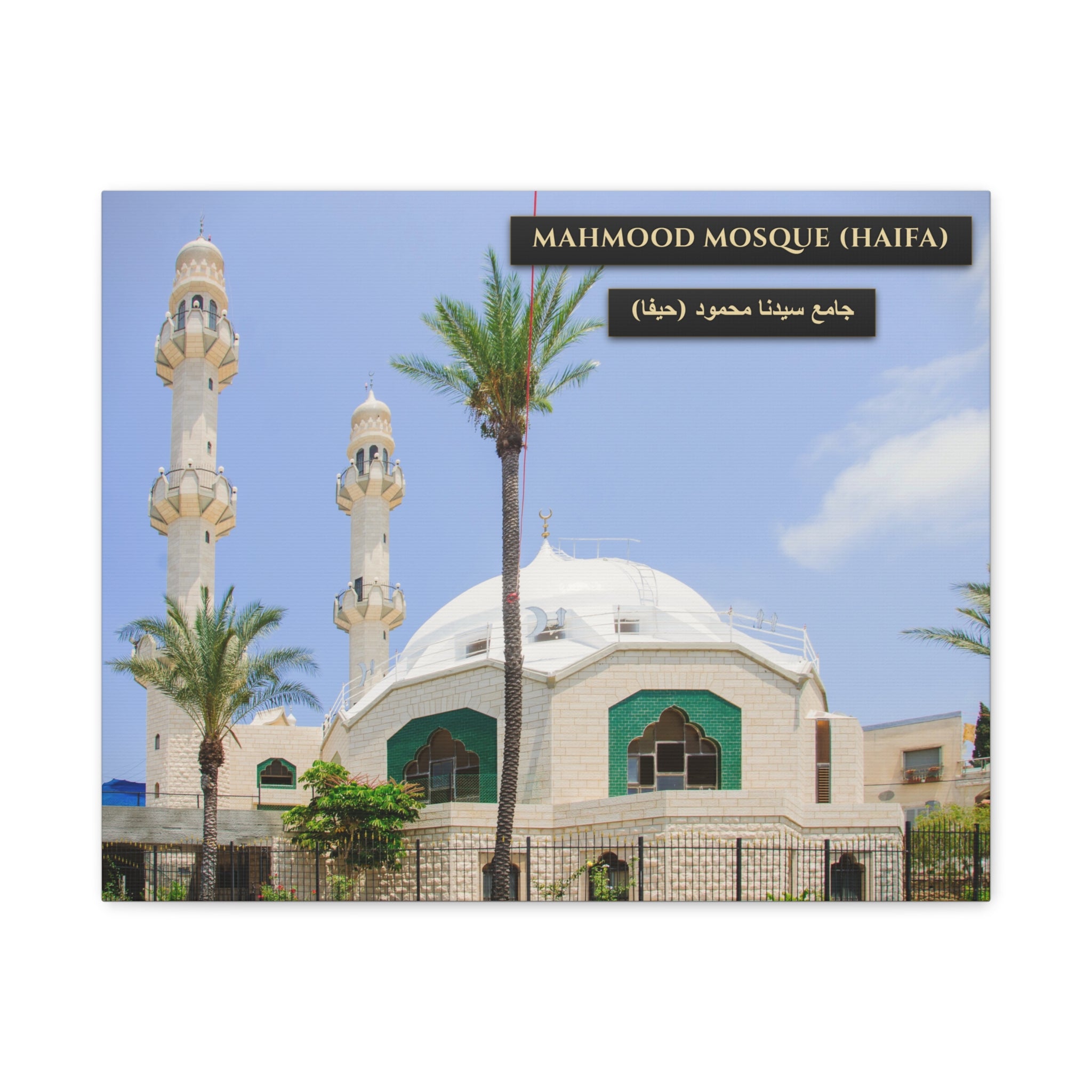 Mahmood Mosque (Haifa) [Canvas]