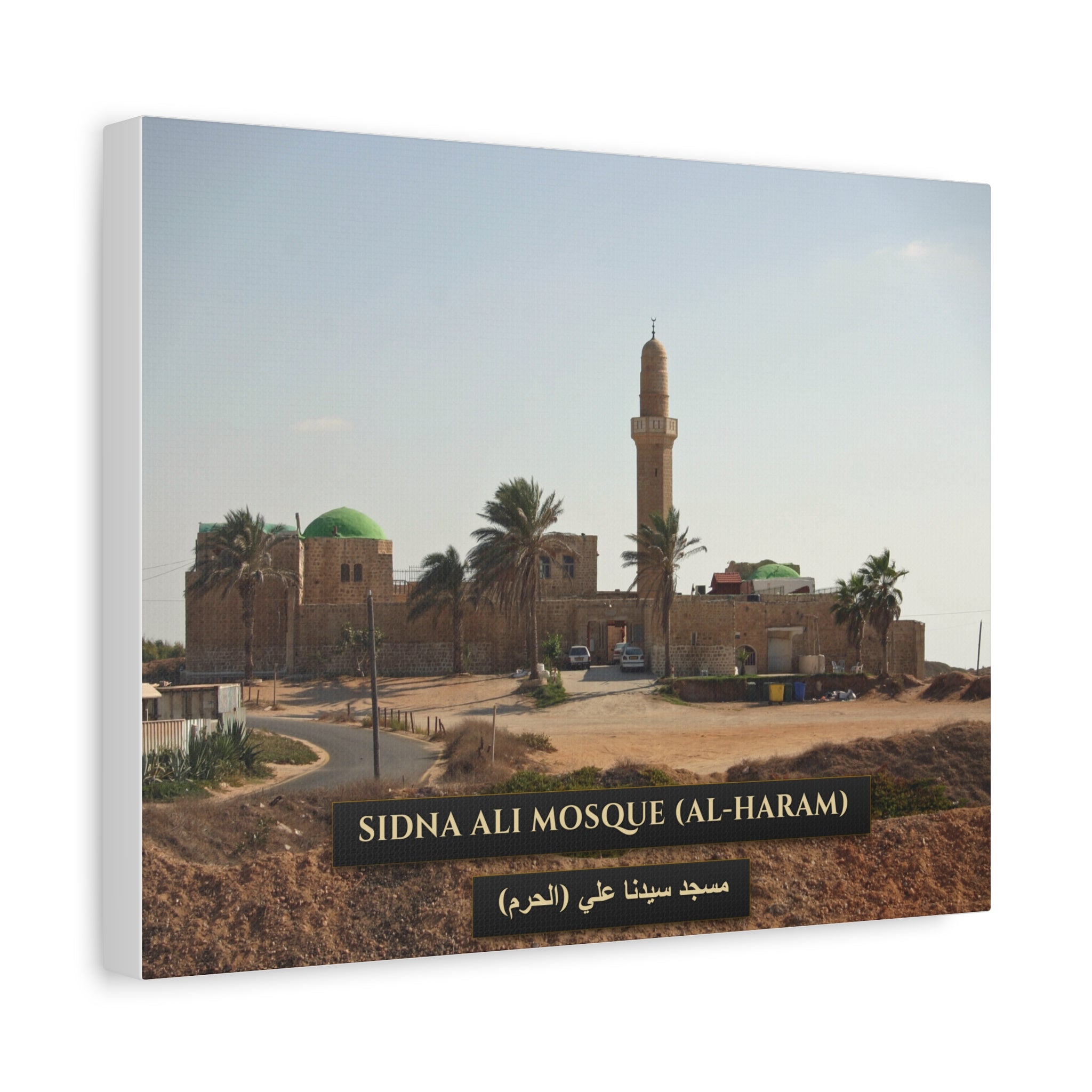 Sidna Ali Mosque (Al-Haram, Jaffa) [Canvas]