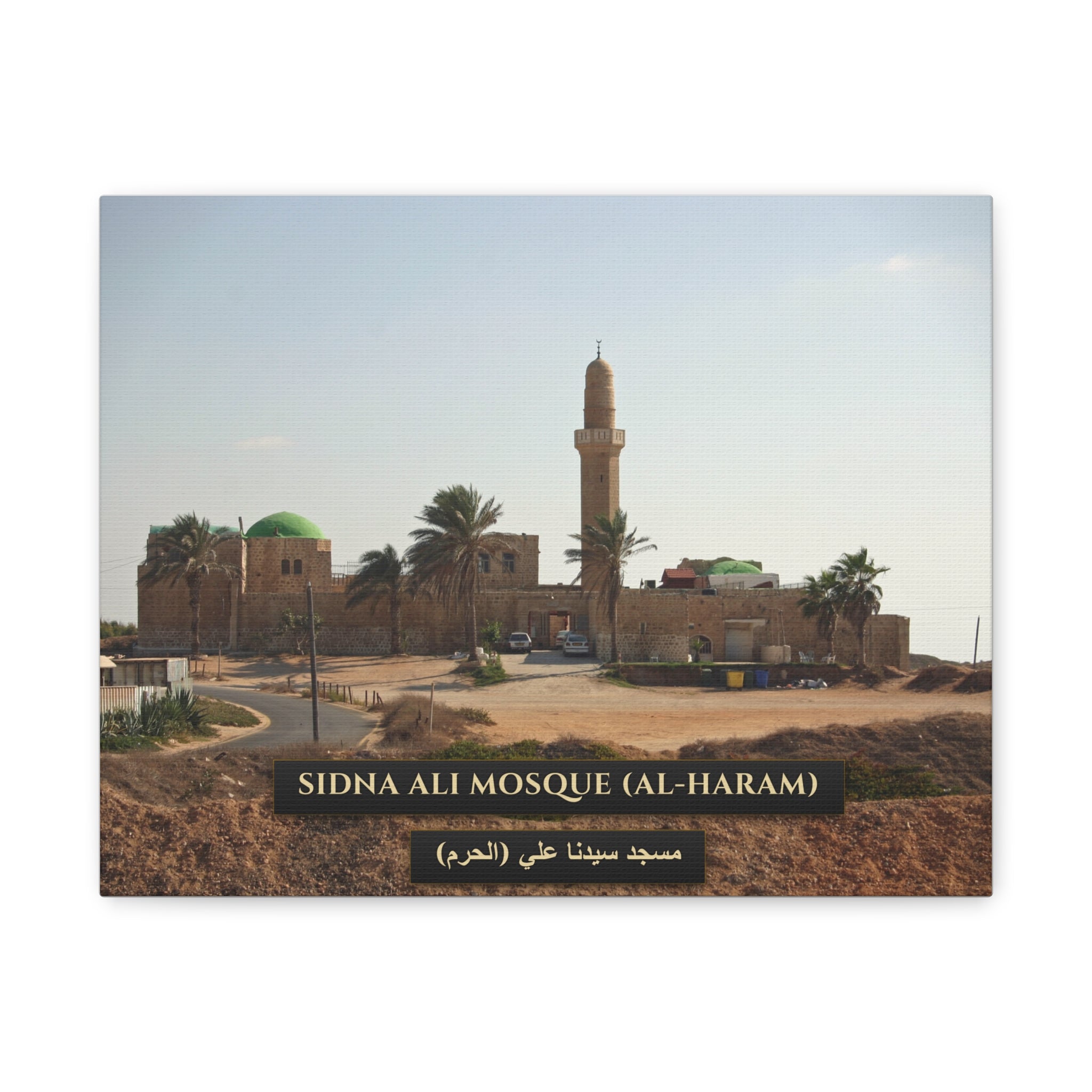 Sidna Ali Mosque (Al-Haram, Jaffa) [Canvas]