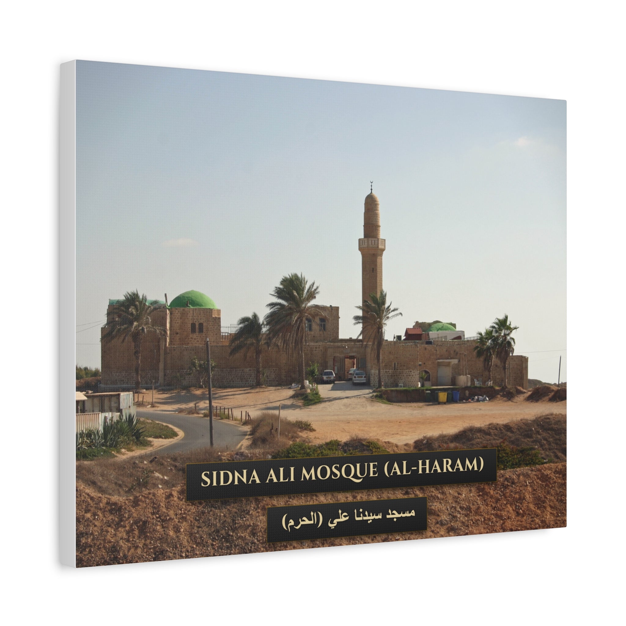 Sidna Ali Mosque (Al-Haram, Jaffa) [Canvas]
