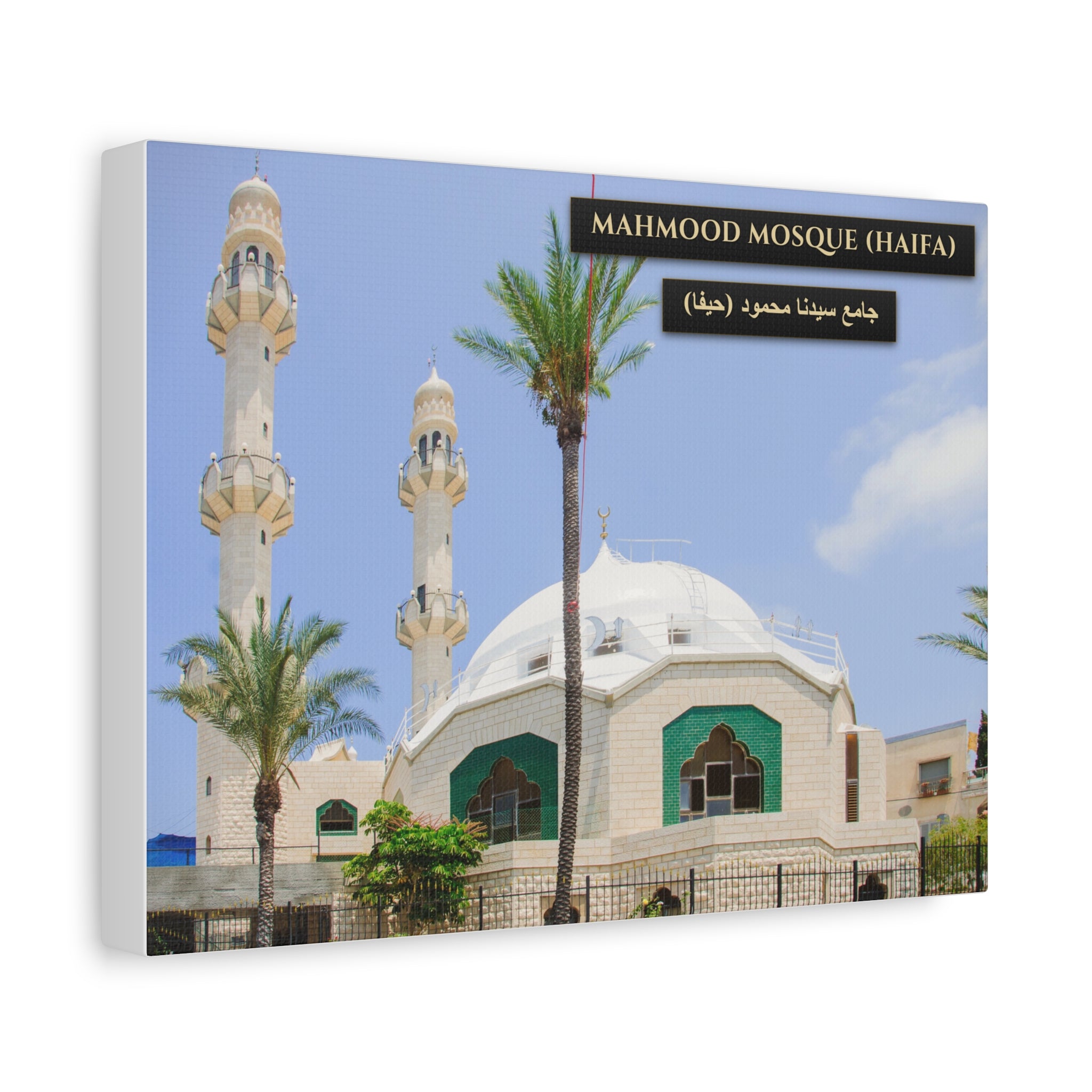 Mahmood Mosque (Haifa) [Canvas]
