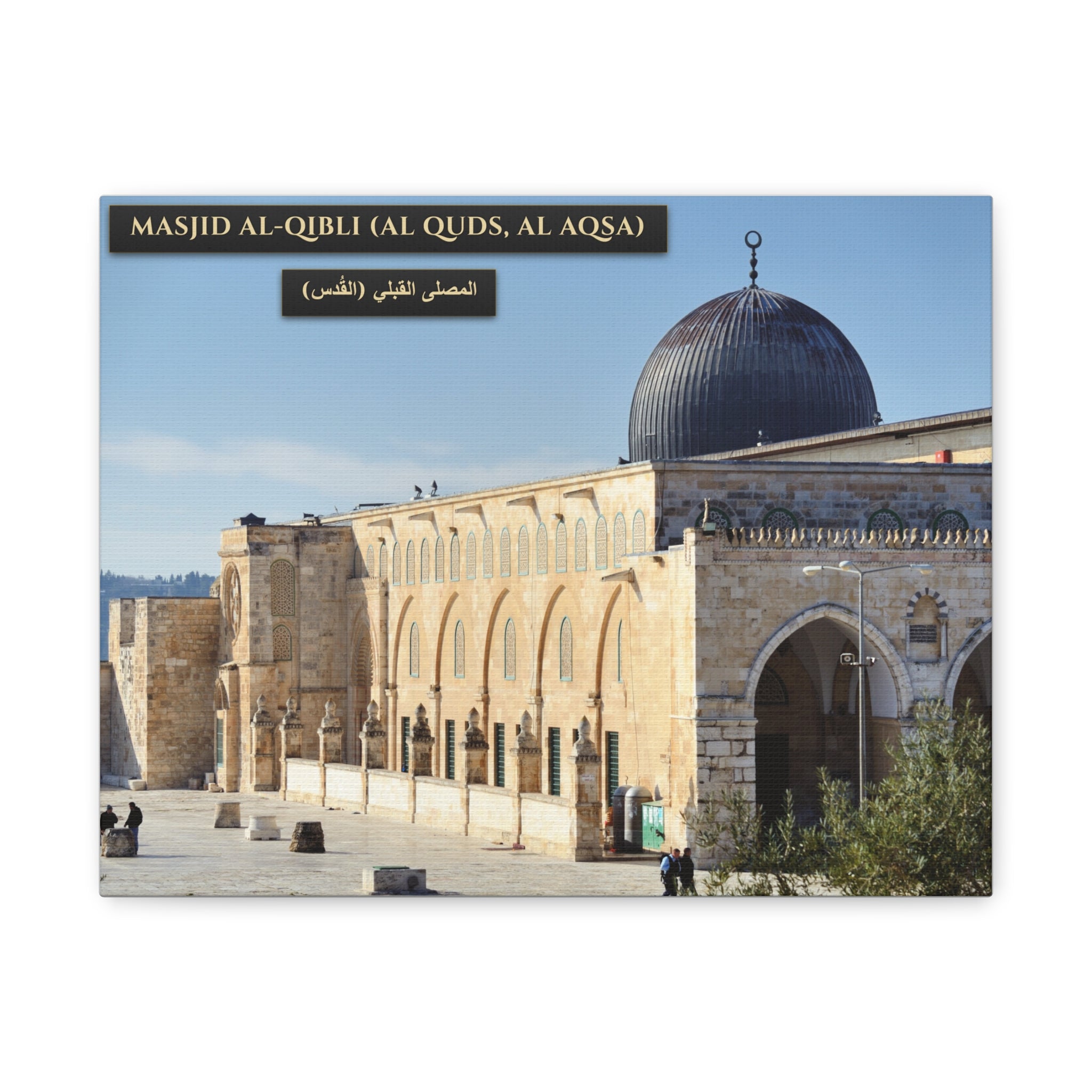 Masjid Al-Qibli (Al-Aqsa)  [Canvas]
