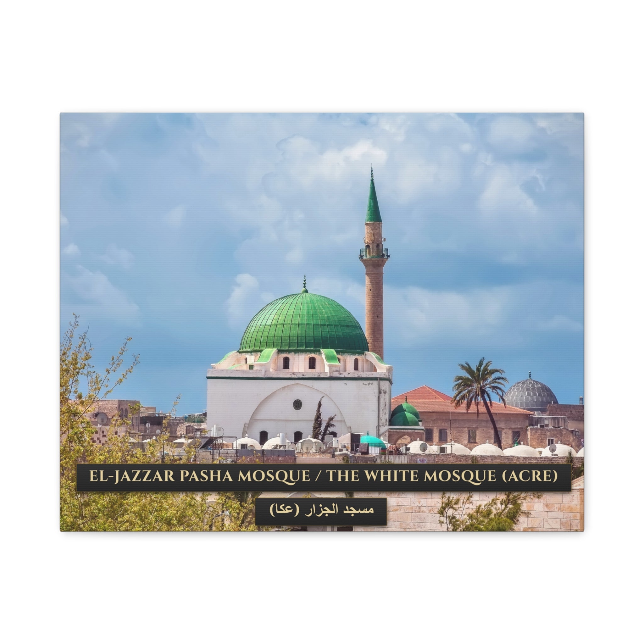 El-Jazzar Pasha Mosque / The White Mosque (Acre) [Canvas]