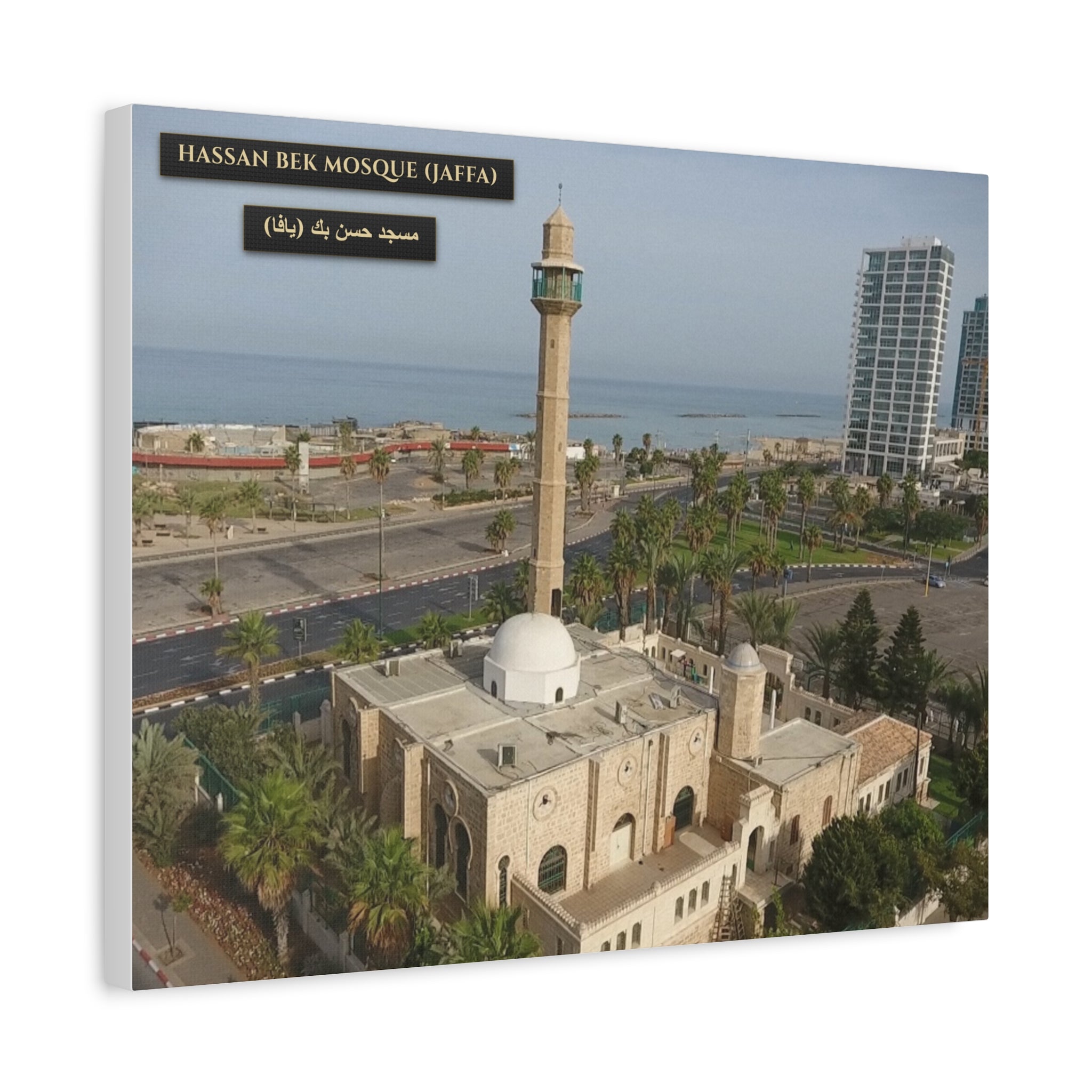 Hassan Bek Mosque (Jaffa)  [Canvas]