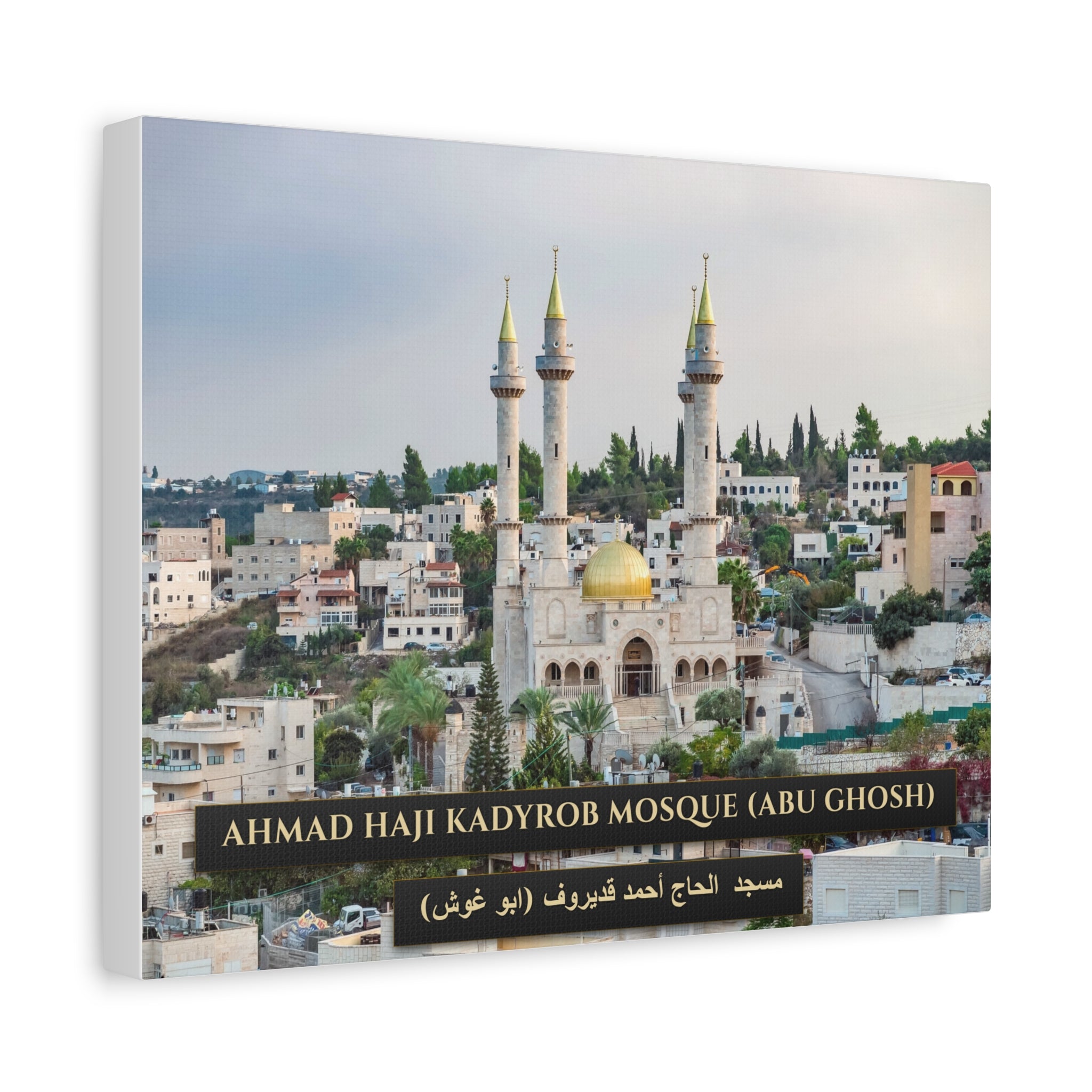 Ahmad Haji Kadyrob Mosque [canvas]