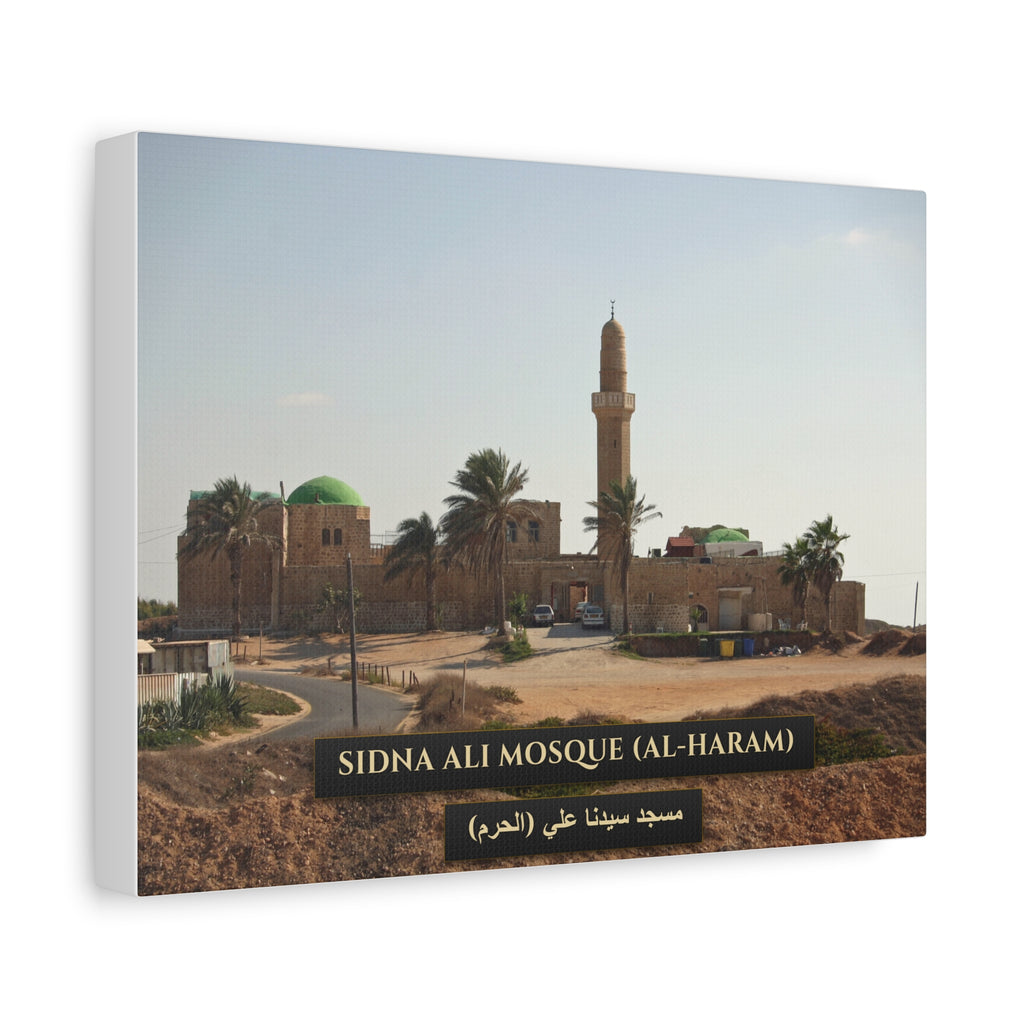 Sidna Ali Mosque (Al-Haram, Jaffa) [Canvas]