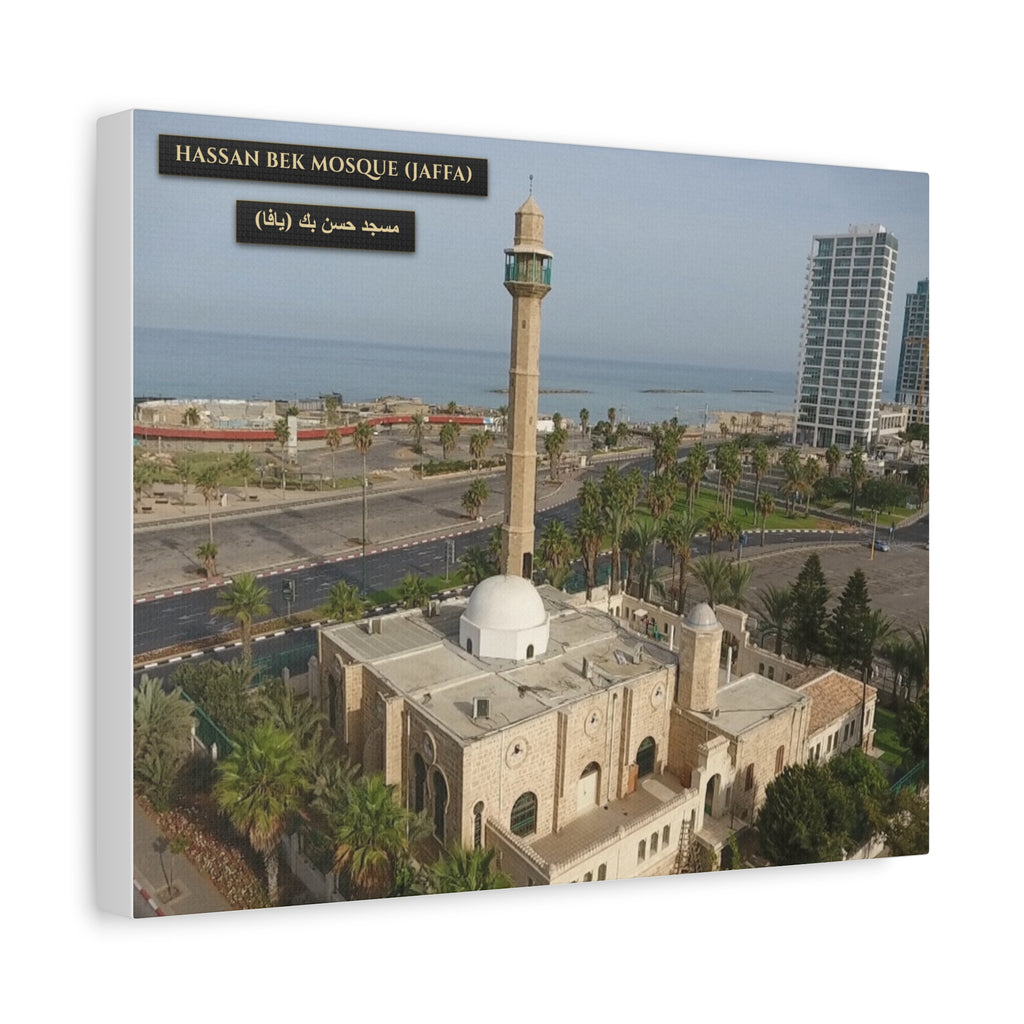 Hassan Bek Mosque (Jaffa)  [Canvas]