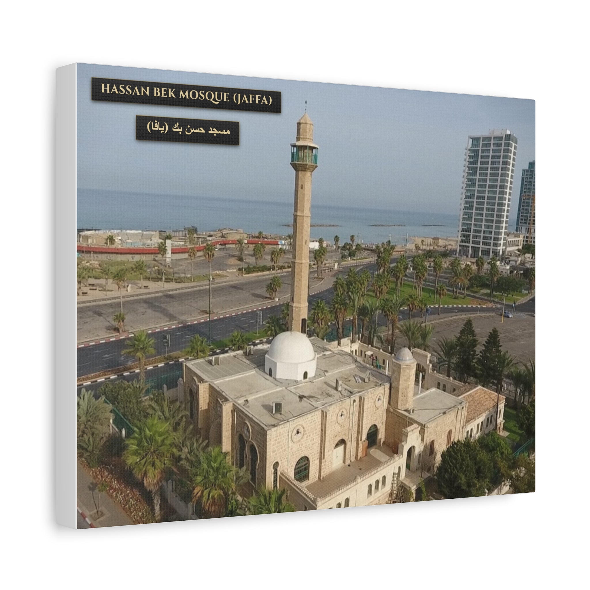 Hassan Bek Mosque (Jaffa)  [Canvas]