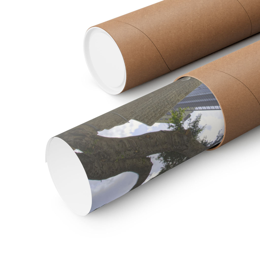 Al Jarina Mosque (Haifa) [Poster]