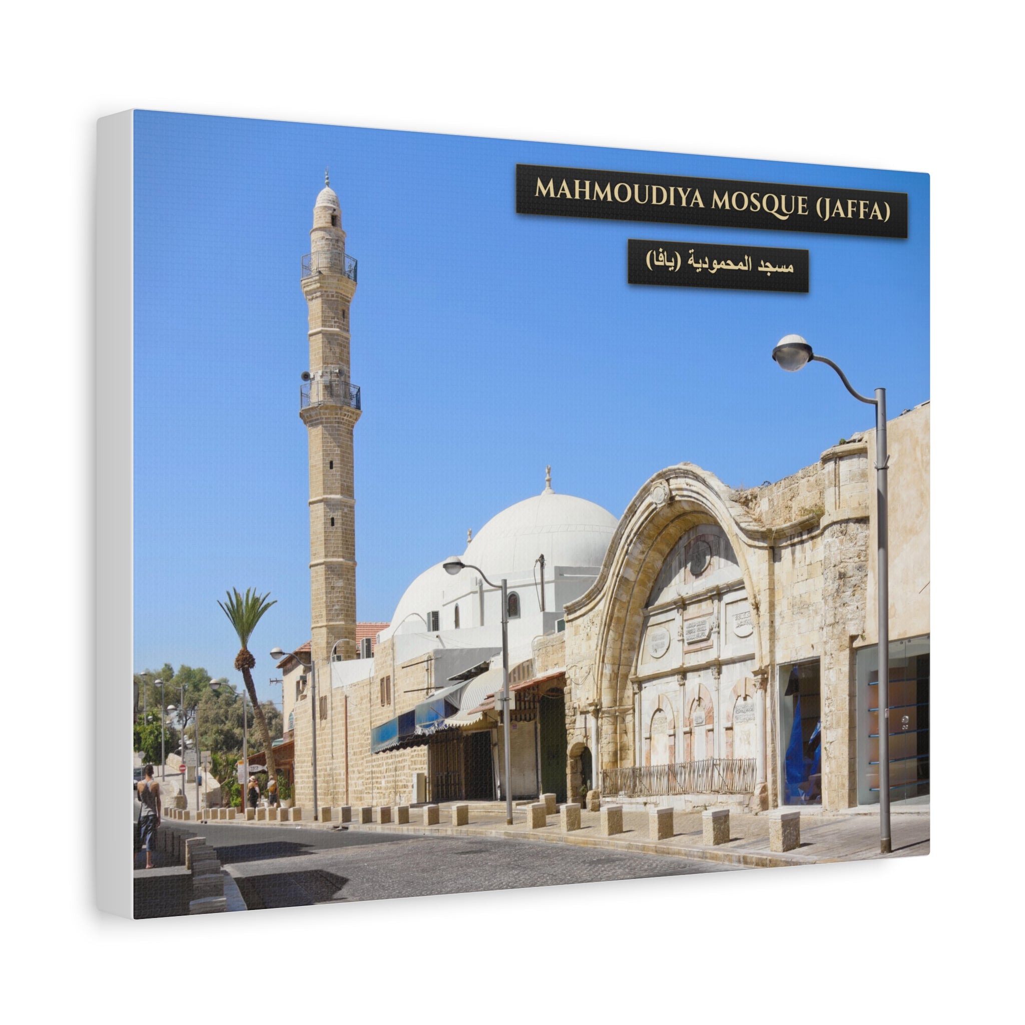 Mahmoudiya Mosque (Jaffa) [Canvas]