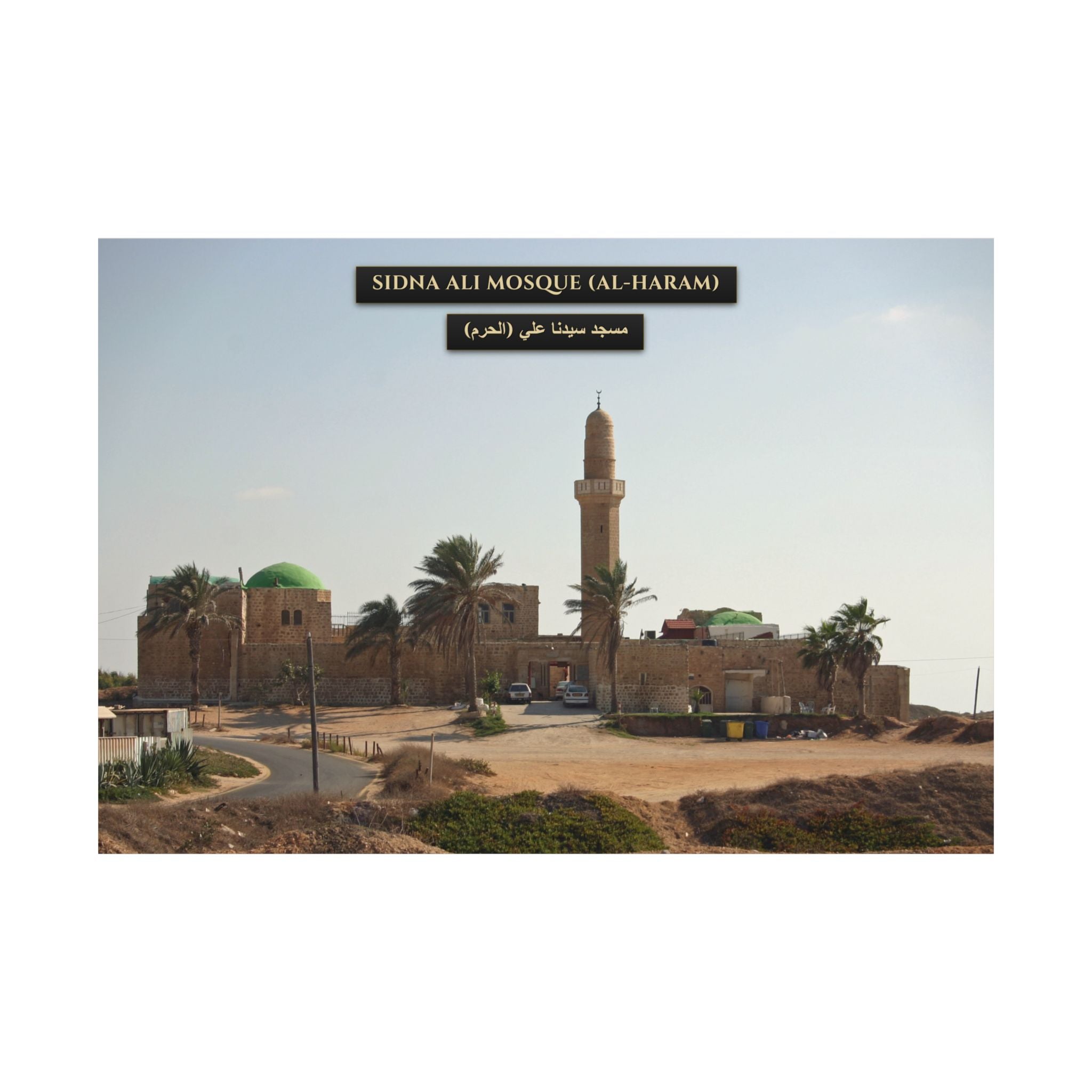 Sidna Ali Mosque (Al-Haram, Jaffa) [Poster]