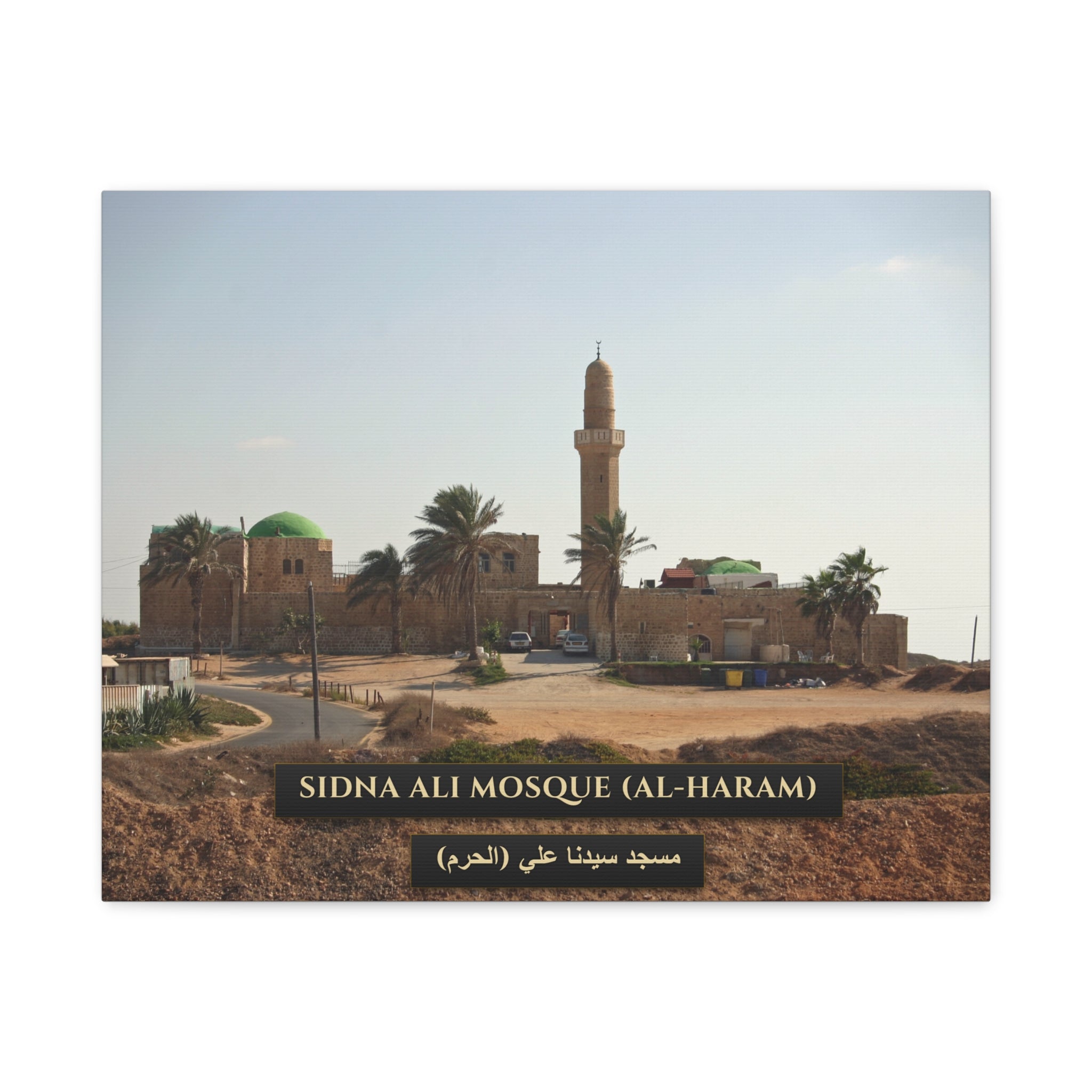 Sidna Ali Mosque (Al-Haram, Jaffa) [Canvas]
