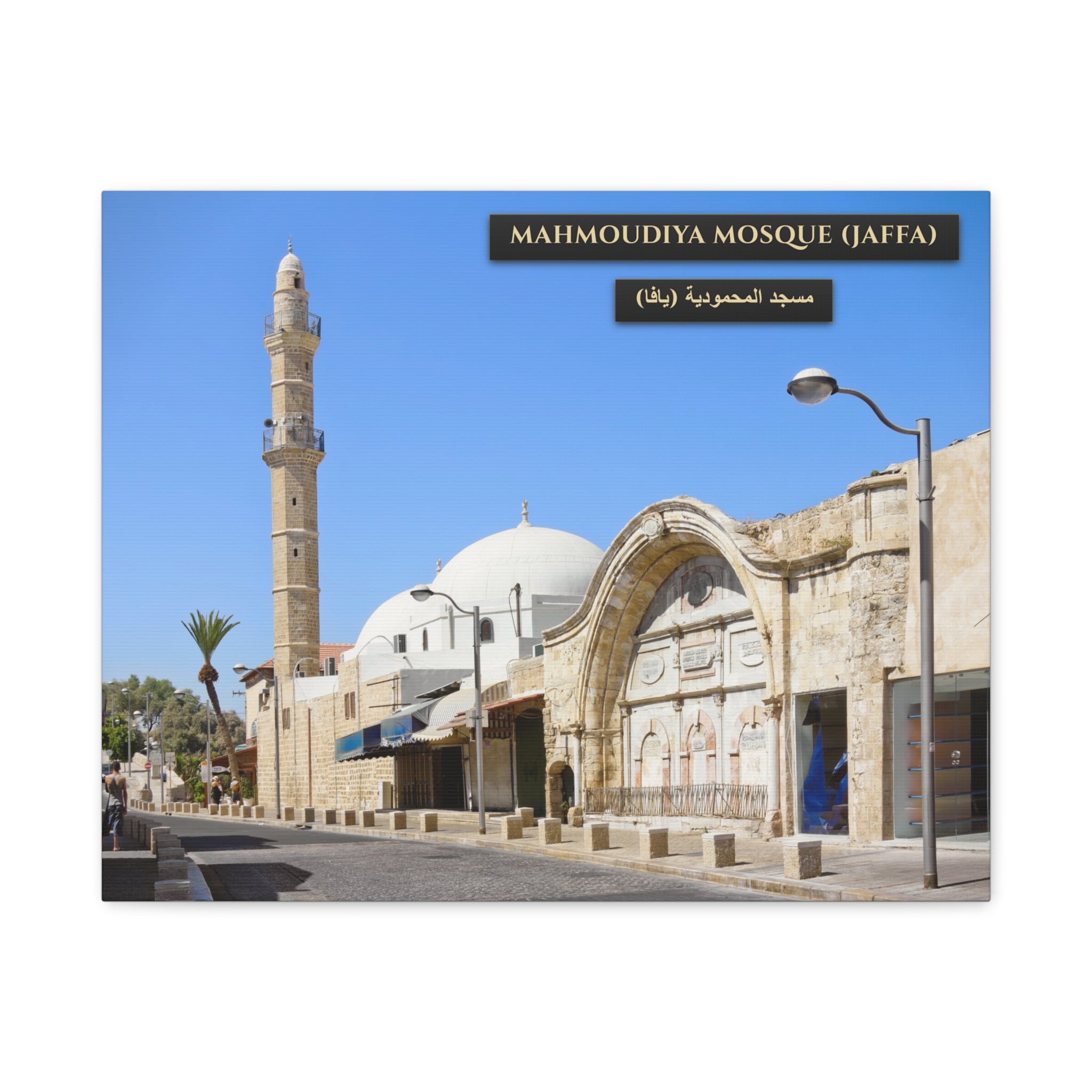 Mahmoudiya Mosque (Jaffa) [Canvas]