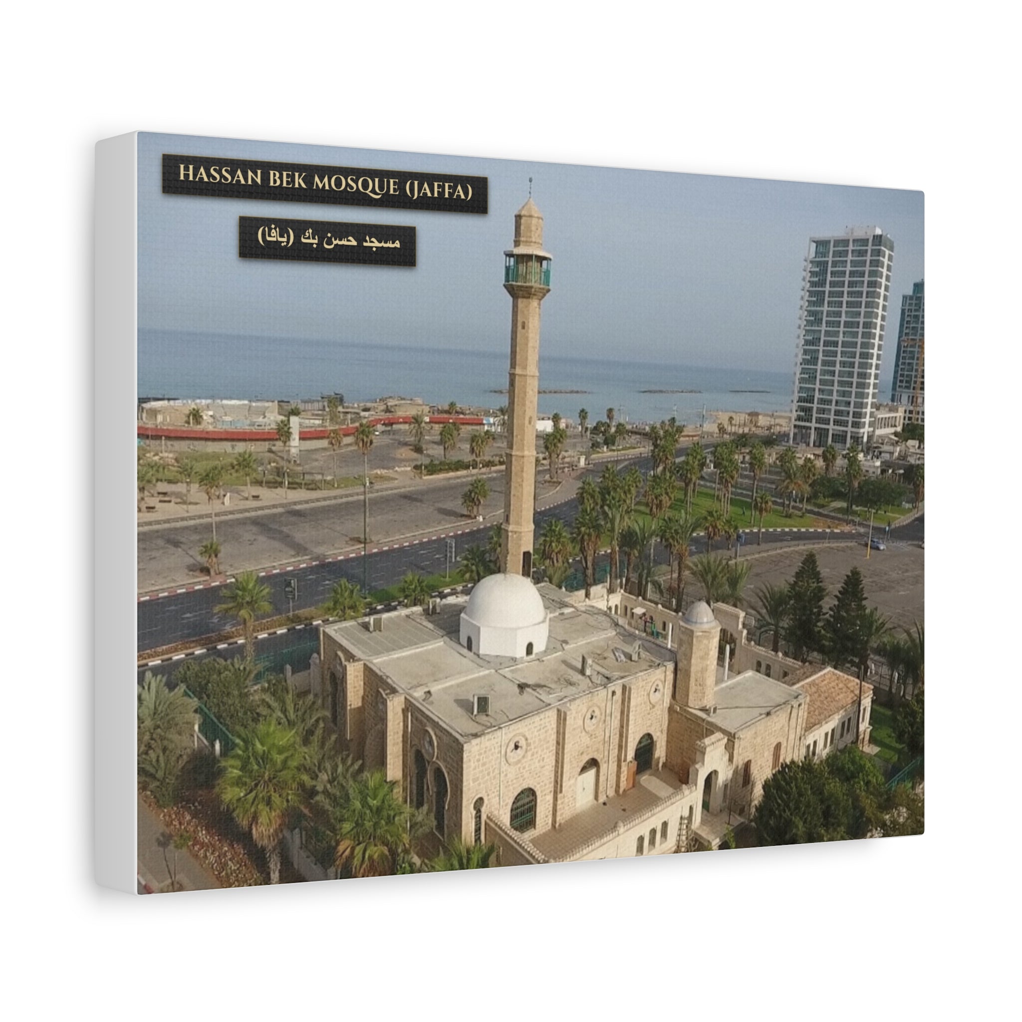 Hassan Bek Mosque (Jaffa)  [Canvas]